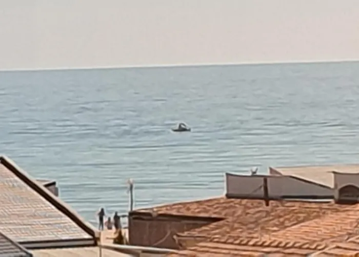 De Vie Estival Pensionat Costinesti